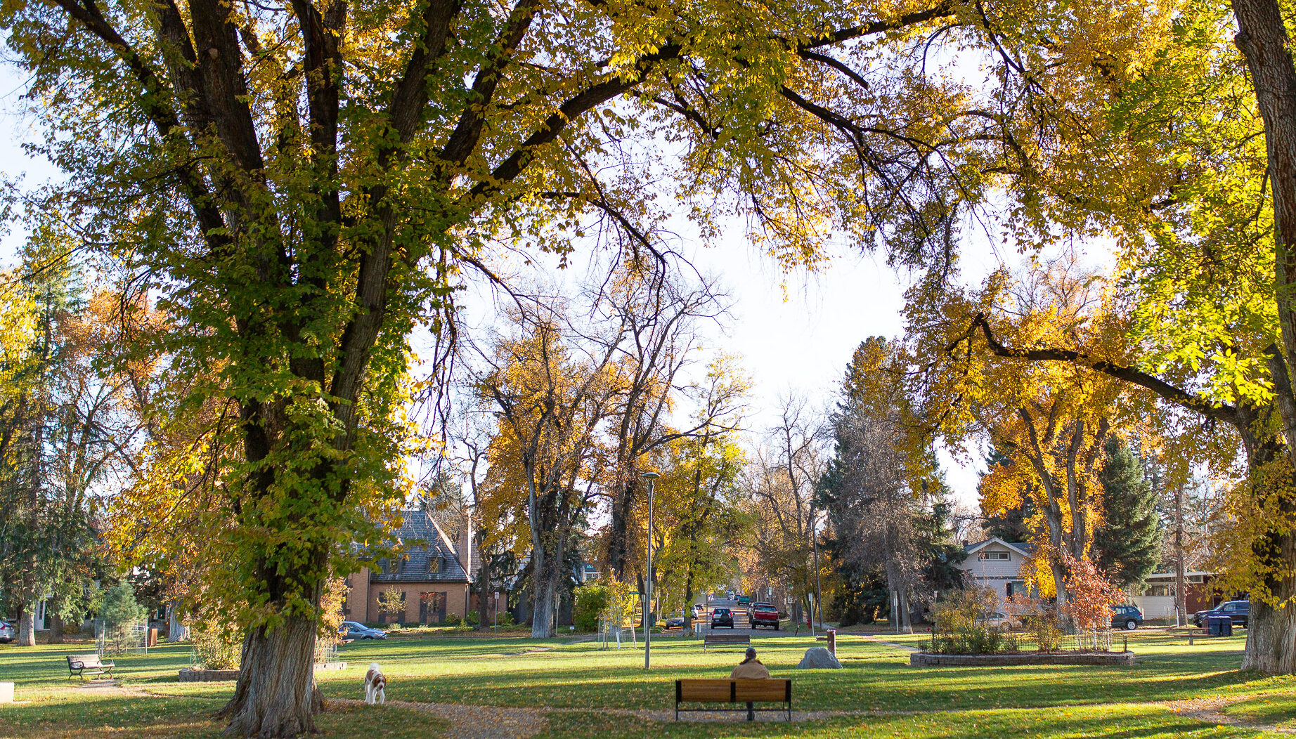 person on a park bench at cooper park
