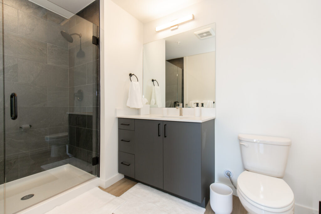Shower and Bathroom