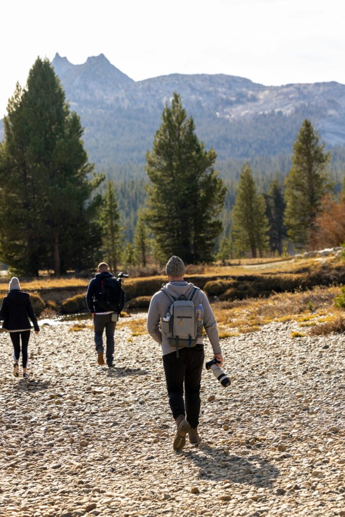 hikers on a trail